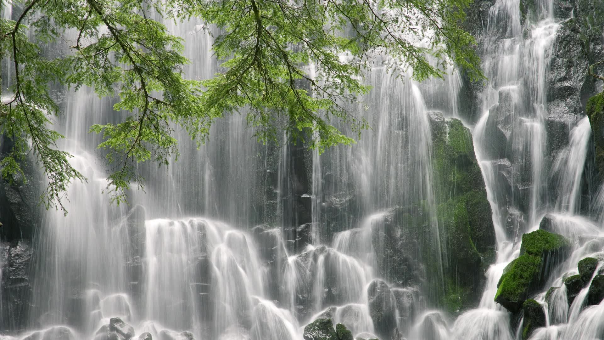 世界保龄球高校联赛赛季技术统计与人才输送白皮书发布,保龄球世界纪录分数